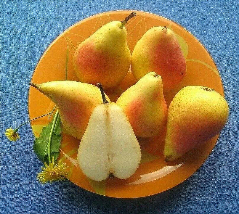 Съела грушу