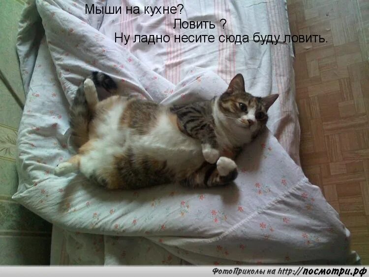 Дайте мне соску