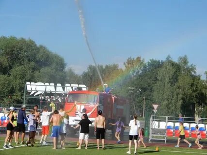 Шаховская программа