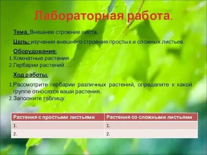 Лабораторная работа по биологии строение клетки вывод