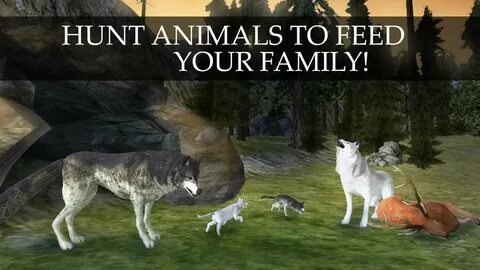 Wildlife мод много денег