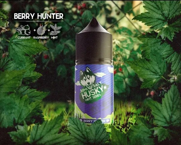 Хантер жидкости. Жижа хаски Berry Hunter 30 мл. Жидкость Husky Mint Series Salt strong 30 мл Berry Hunter. Husky Salt - Berry Hunter (30мл/20мг). Husky Mint Series Salt - Berry Hunter 30 мл 20 strong.