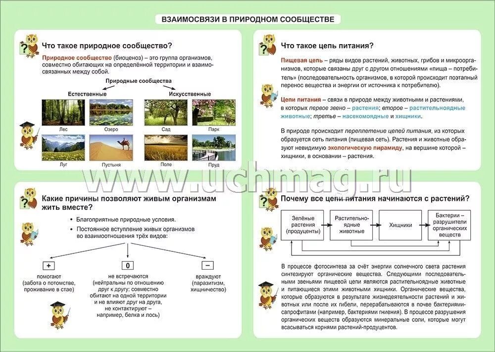 Природное сообщество окружающий мир. Таблица по окружающему миру. Природные сообщества таблица. Природные сообщества 4 класс окружающий мир. Рассказ о природном сообществе по плану