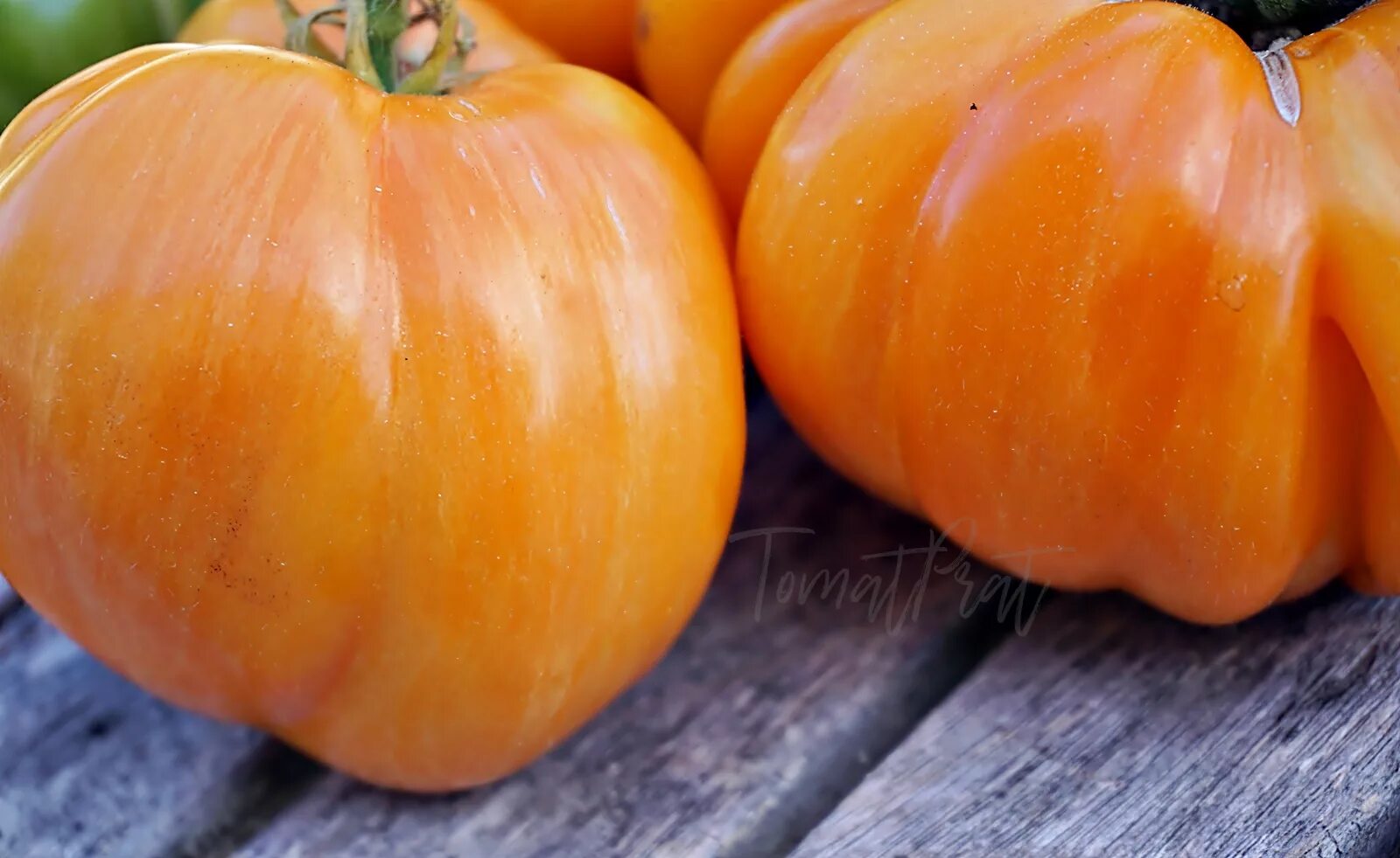 Orange jazz томат. Томат джаз розовый. Оранжевый джаз томат описание. Томат оранжевый джаз. Томат джаз восход.