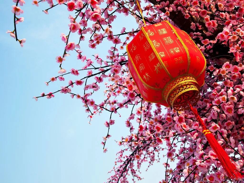 Праздник весны в китае какой календарь. Китайский новый год праздник весны. Праздник весны в Китае. Китайский весенний фестиваль. Китай новый год праздник весны.