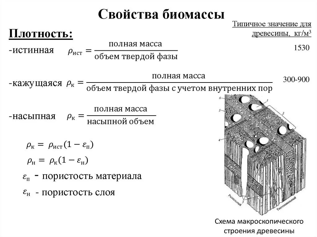 В каких единицах измеряется биомасса