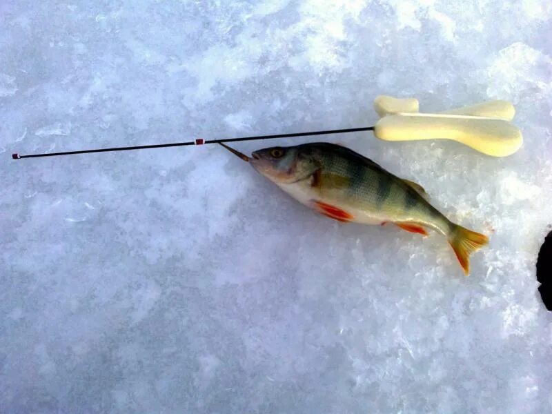 Зимняя удочка блесна. Зимняя блесна торпедка. Зимняя удочка aqua ice bow. Оснастка удочки для блеснения зимой на окуня. Удочка для блеснения ice-1.