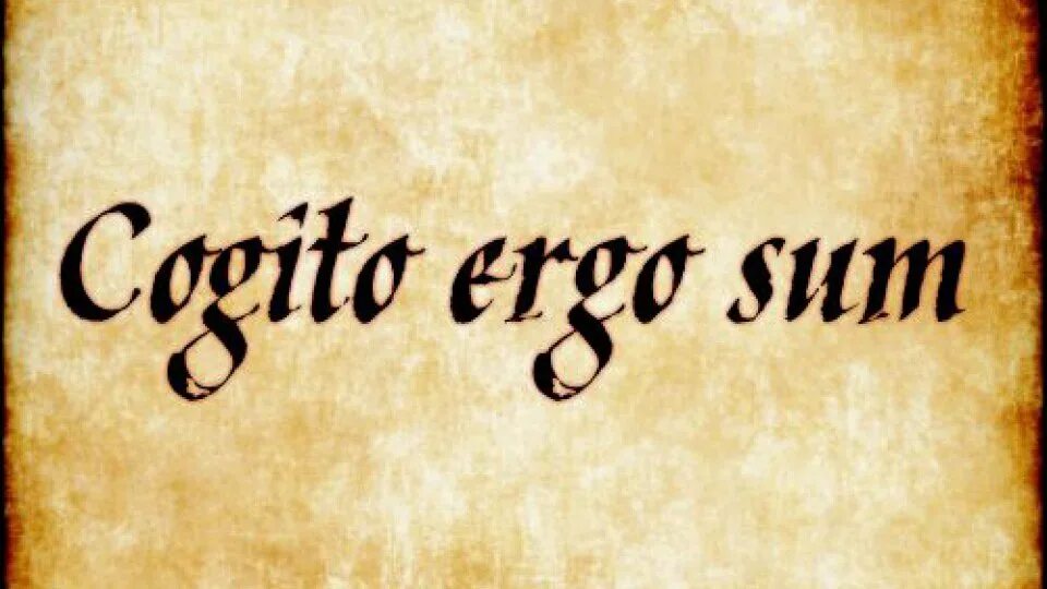 Мыслю следовательно существую на латыни. Cogito ergo sum. когито эрго сум тату. cogito, ergo sum. мыслю, следовательно, существую.. cōgitō ergō sum.
