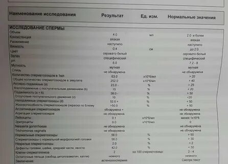 Спермограмма с морфологией