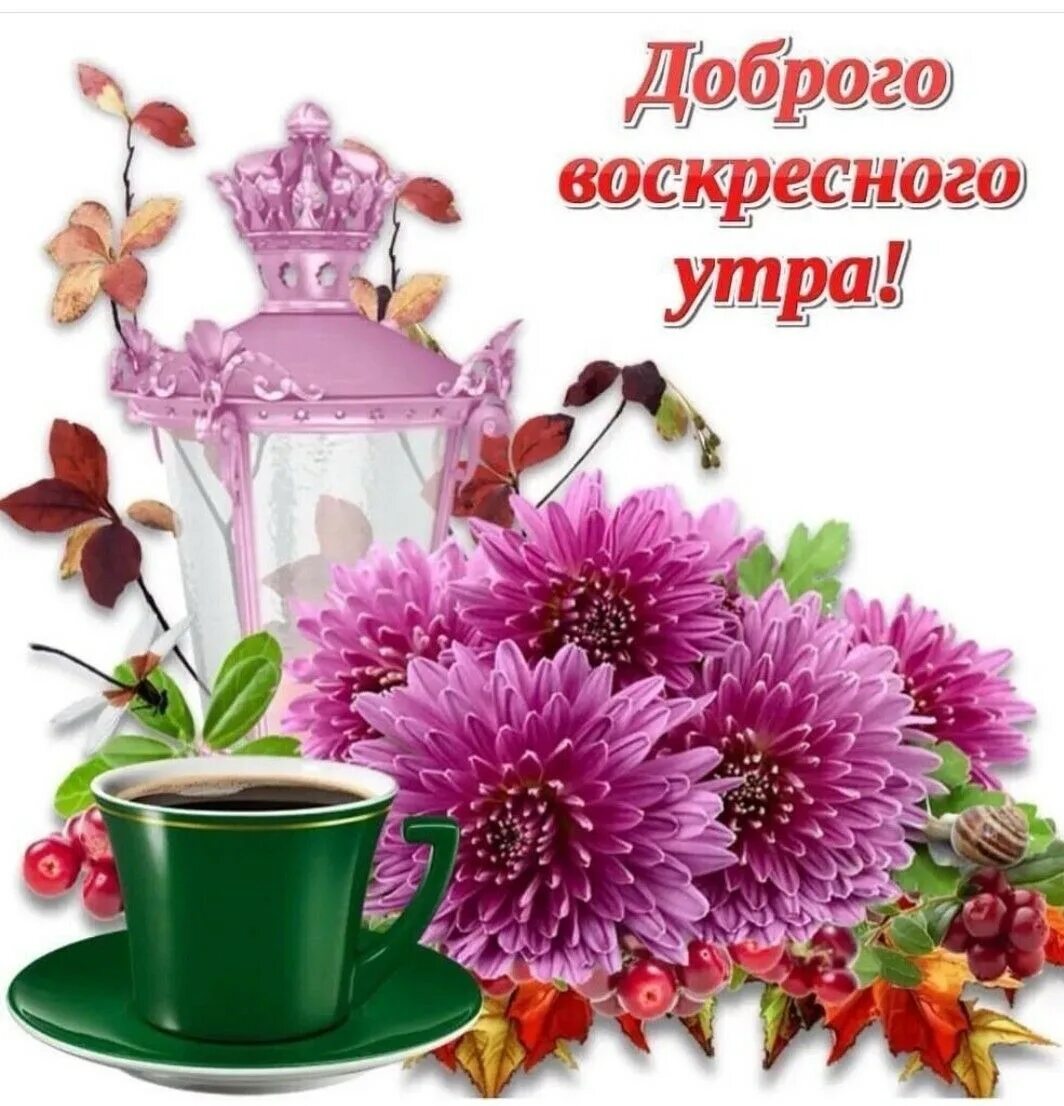 Доброе утро воскресного дня картинки