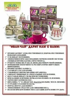 Кипрей польза