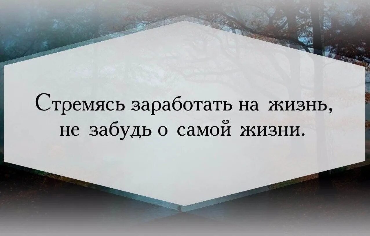 Наша работа сама жизнь. Стремясь заработать на жизнь не забудь. стремясь заработать на жизнь не забудь о самой жизни. зарабатывая на жизнь не забудьте о самой жизни.