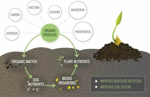 Органические удобрения перегной. Organic Fertilizer. Soil Fertilizer. Органика в почве.