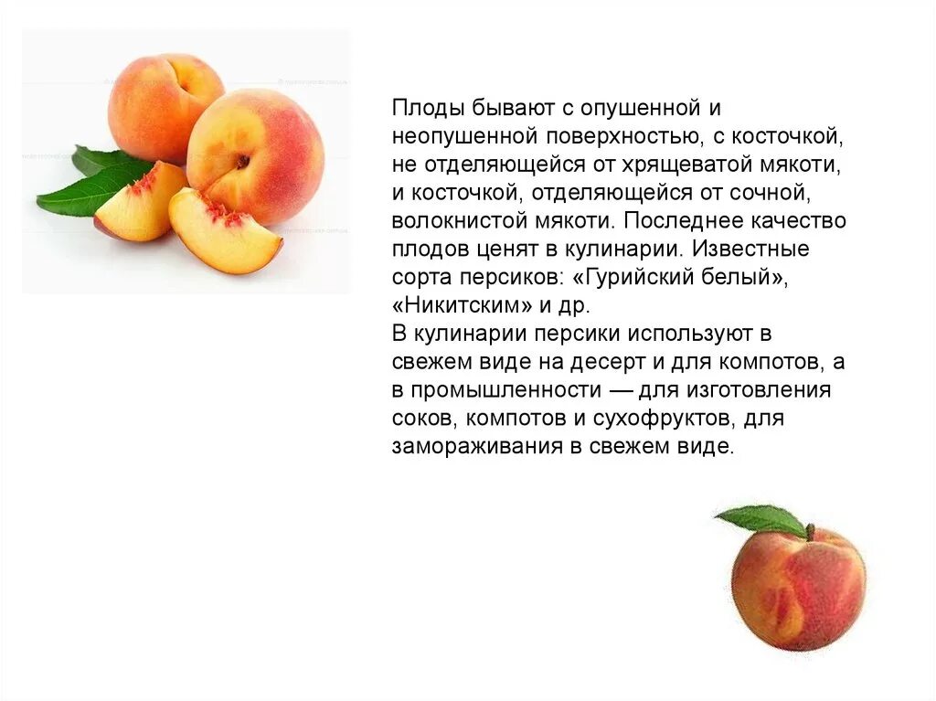 Шарада (загадка). Слово плоды. На какие группы делят плоды. Плод и плот предложения. Омофоны для детей.