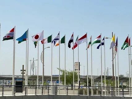Все страны объявили