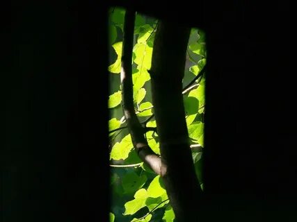 Видна щель