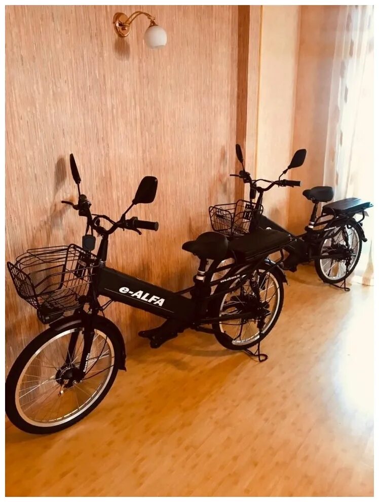 Грин сити альфа. Велогибрид green city e-alfa fat. Грин сити альфа электровелосипед. Alfa lux 2021. Электровелосипед green city +smart.