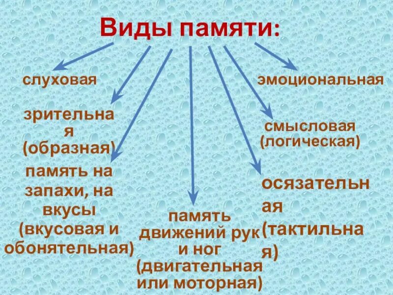Память моя память расскажи. Что такое память человека определение для детей. Примеры исторической памяти. Как язык помогает сохранять память о прошлом доклад. Память читать.