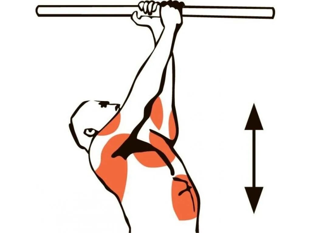 Подтягивания супинированным хватом. Подтягивания параллельным хватом мышцы. Подтягивания на турнике разнохватом. Подтягивания узким хватом мышцы.