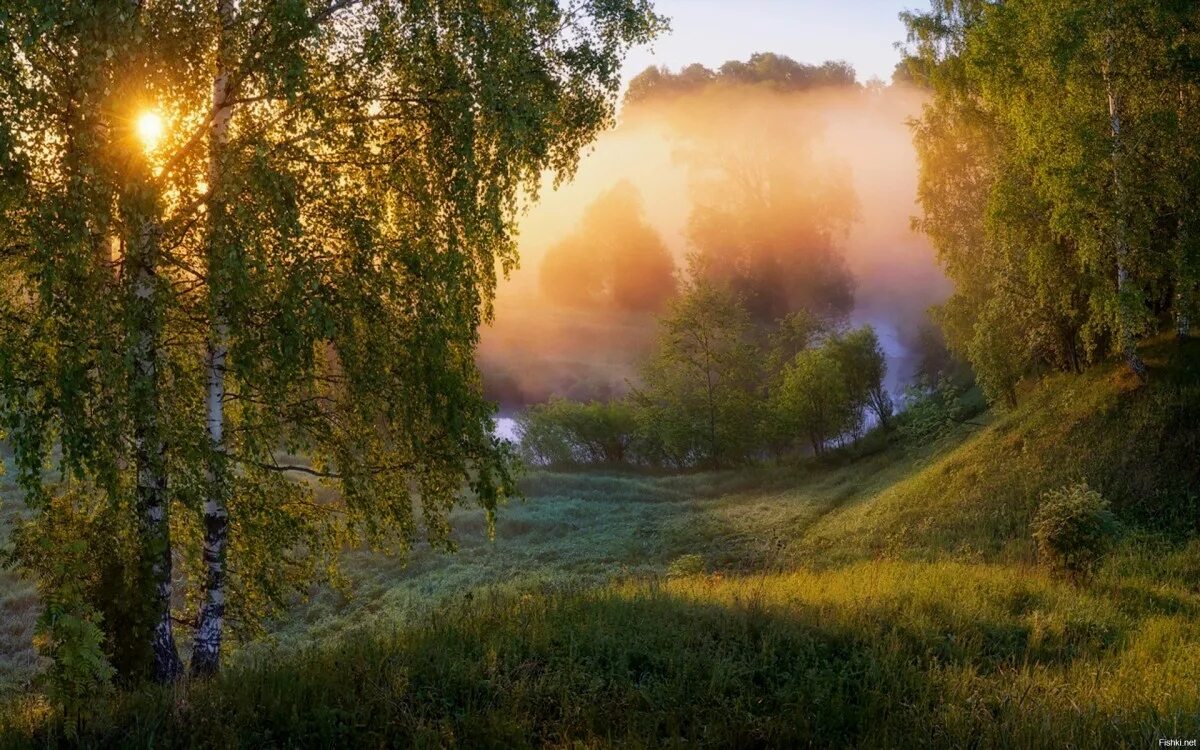 В небе слышалось сильное жужжание. Утро (Утренняя Заря) (1534). Красота русской природы. Солнечный пейзаж. Пейзажи России.