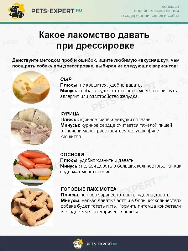 Какие лакомства давать щенку. Какие лакомства можно давать щенку. какие лакомства давать щенку при дрессировке. какие лакомства можно давать собаке при дрессировке. какие вкусняшки можно давать собаке.