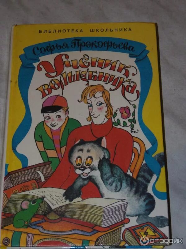 Ученик волшебника Прокофьева. Книга Прокофьевой ученик волшебника. Ученик волшебника иллюстрации. Ученик книга 8 читать