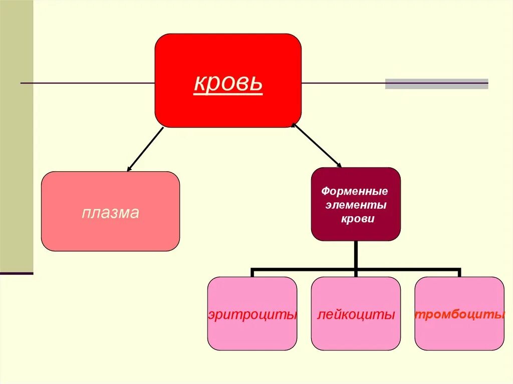 Плазма это форменный элемент. Внутренняя среда организма кровь плазма и эритроциты.
