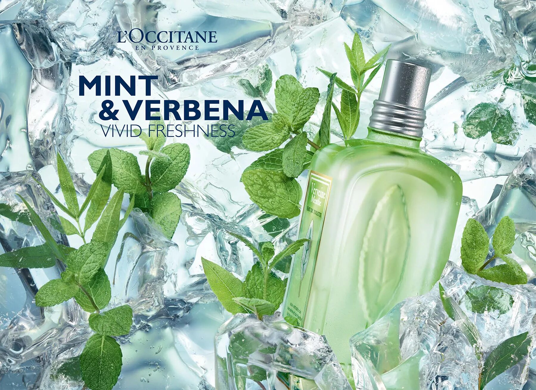 Discover l. Локситан Вербена мята. Локситан Вербена духи. Verveine l'Occitane духи. Вербена мята Парфюм.