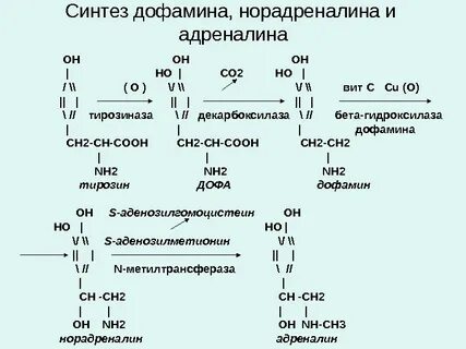 Адреналин обмен