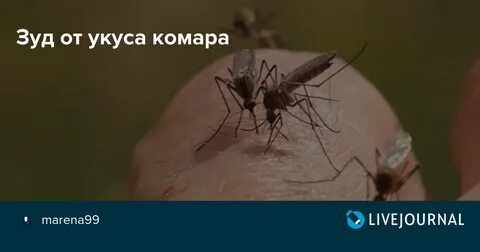 Штаны чтобы не кусали комары