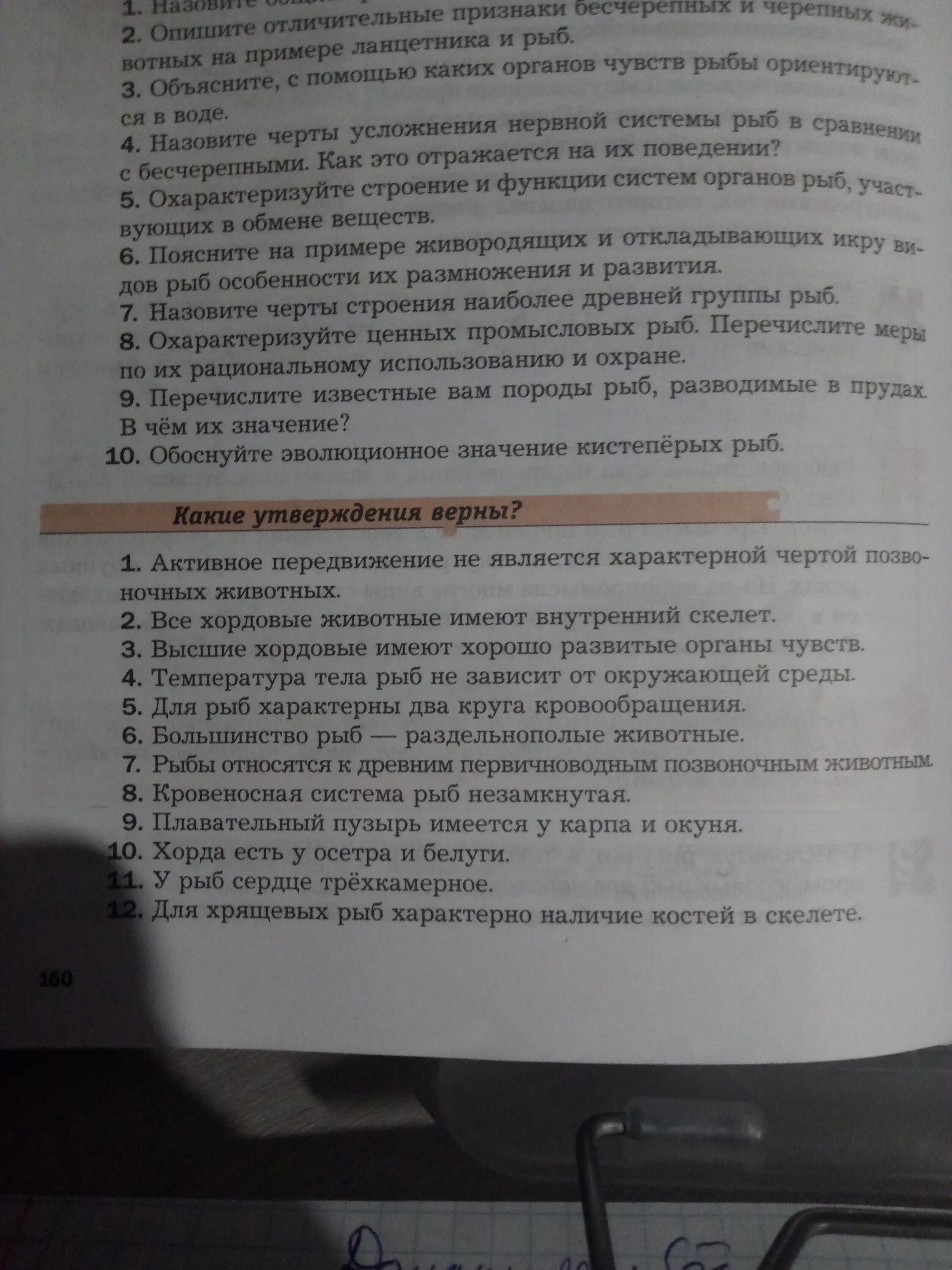 Основные ароморфозы рыб. Седьмой класс какое утверждение верно. Какие утверждения верны активное передвижение не является. Какие утверждения верны активное передвижение не является. Выберите верные утверждения характеризующие рыб.