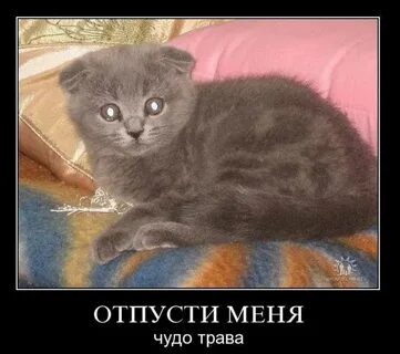 Отпусти меня