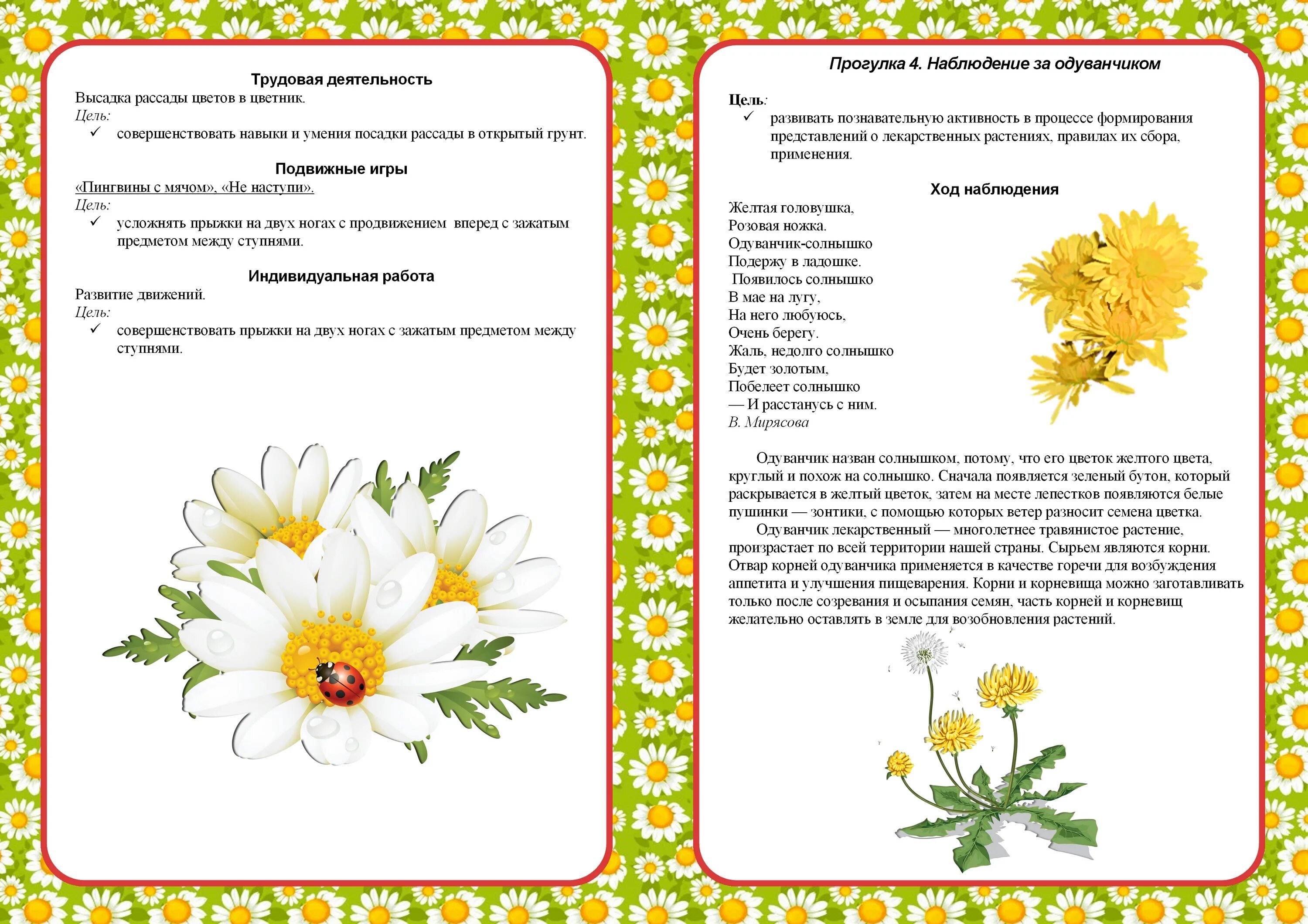 Растения вторая младшая группа планирование. Наблюдение в старшей группе. Летние наблюдения в средней группе. Картотека прогулок лето младшая группа. Картотека прогулок в старшей группе.