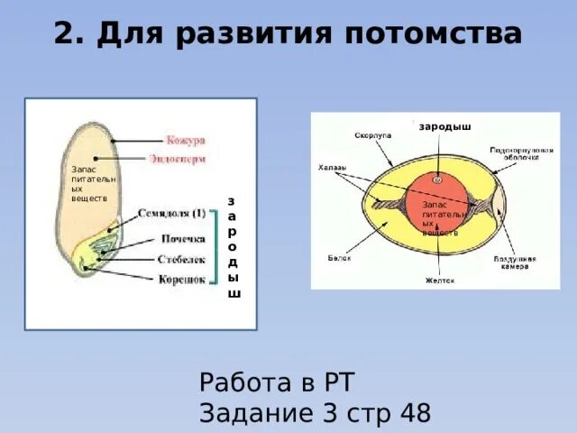 что происходит в организме если запасы. постоянный уровень глюкозы в крови. что происходит в организме если запасы. что будет с организмом если отказаться от сахара. расщепление 13 молей глюкозы из которых 5 полное.