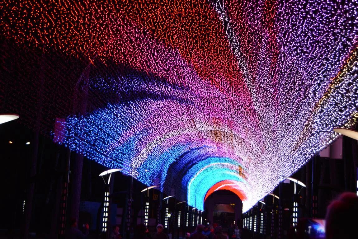 ночной белогорск амурская область. световое шоу сочи краснодар. световая аллея в парке белогорска. световая инсталляция в лесу. Wokwi световое шоу.