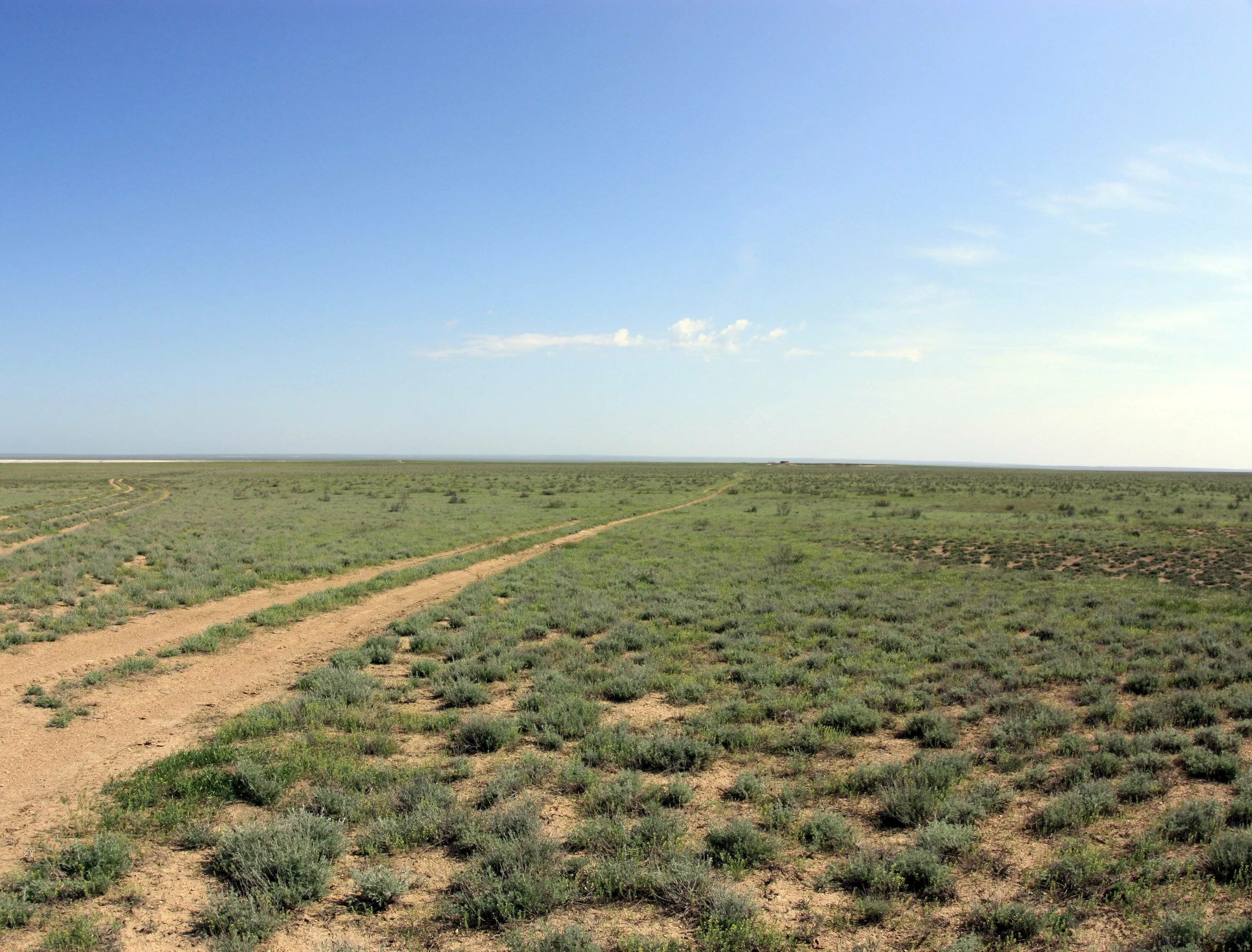 Степь полупустыня пустыня. Полупустыни казахстана. Зона пустынь и полупустынь в россии. Полупустыня абшерон. Степь полупустыня пустыня.