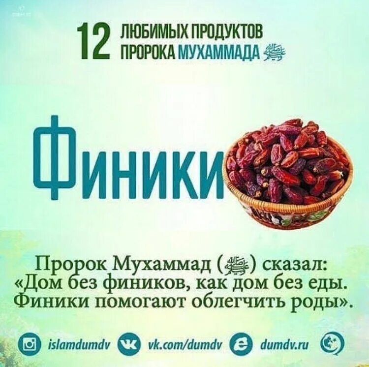 12 Любимых продуктов пророка. Любимых продуктов пророк Мухаммад. Любимая еда пророка Мухаммада. Пророк Мухаммад про финики. Финики во время поста