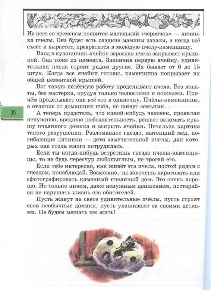 Уважайте жизнь дождевого червя рассказ из книги. Великан на поляне пусть живут на свете удивительные пчелы. великан на поляне плешаков уважайте жизнь дождевого червя. прочитать рассказ пусть живут на свете удивительные пчелы. великан на поляне пусть живут на свете удивительные пчелы читать.