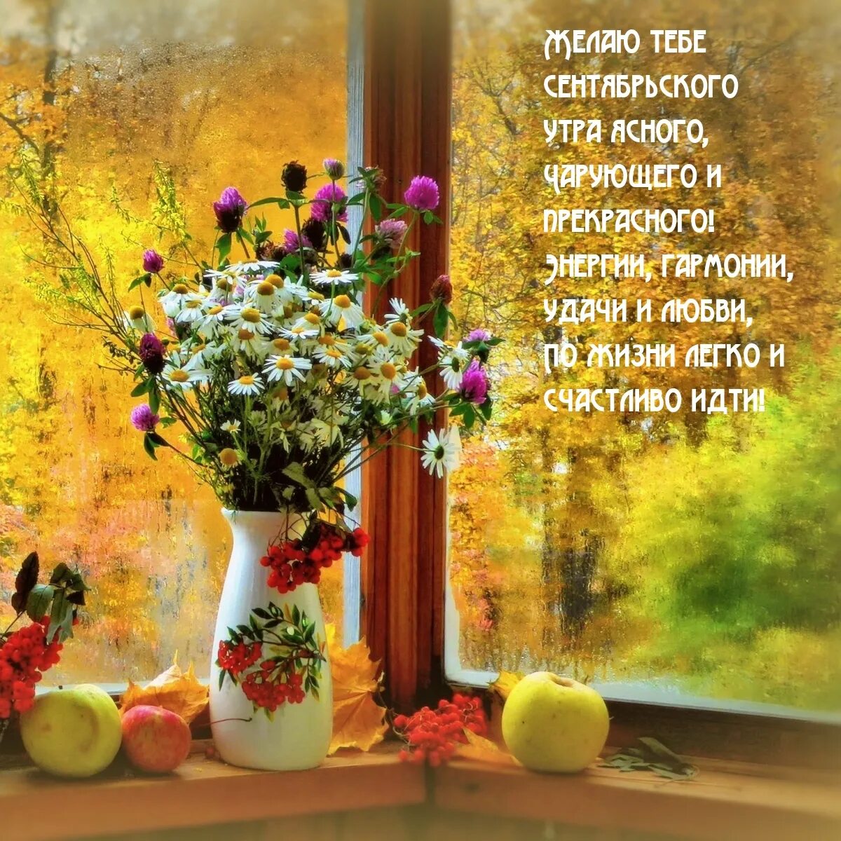 8 сентября утро. Сентябрьское утро. Доброе утро сентябрьское утро. Доброго сентябрьского утречка. Доброе утро сентября открытки.