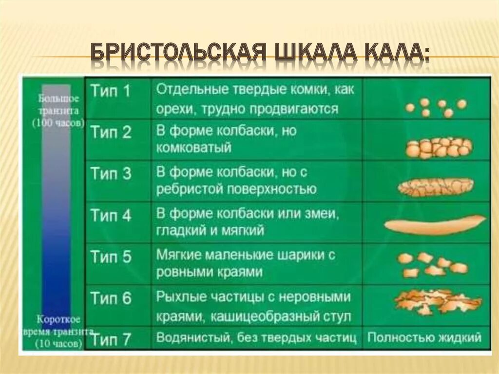 Причина желтого кала у взрослого человека. Бристольская шкала формы стула Тип 2. Бристольская шкала кала. Бристольская школа кала. Шкала кала Бристольская у детей.