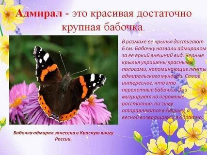 Описание бабочки 2 класс