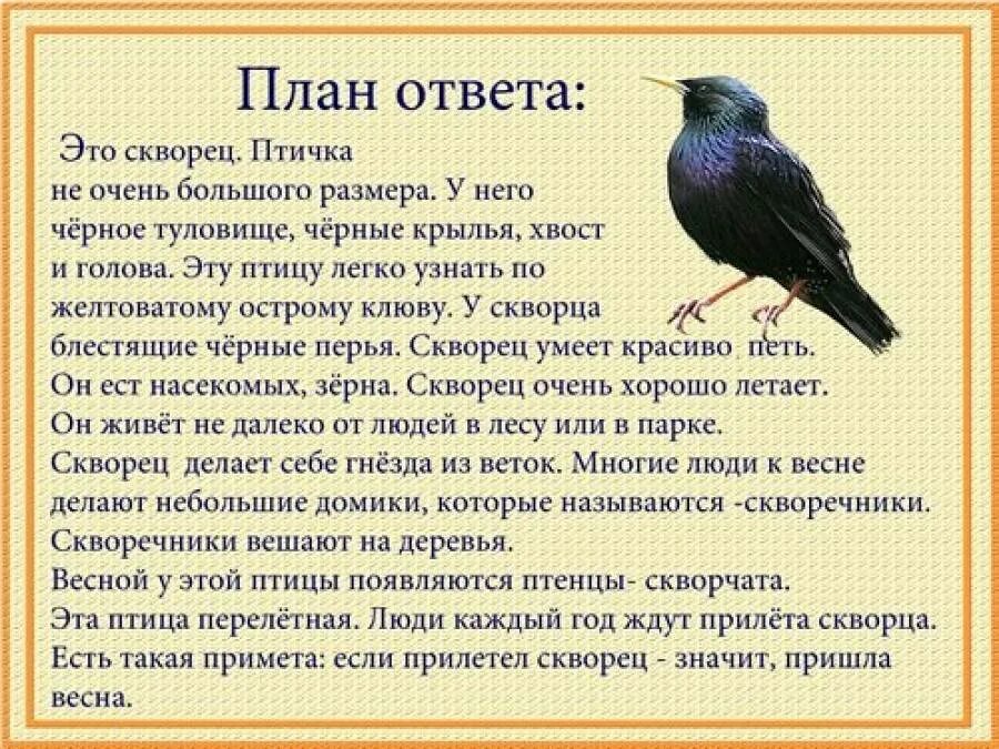 Основная мысль текста каждый знает воробья ворону. Описательный рассказ о скворце для дошкольников. Рассказ о перелетных птицах. Рассказать перелетные птицы. Рассказ про перелетных птиц для дошкольников.