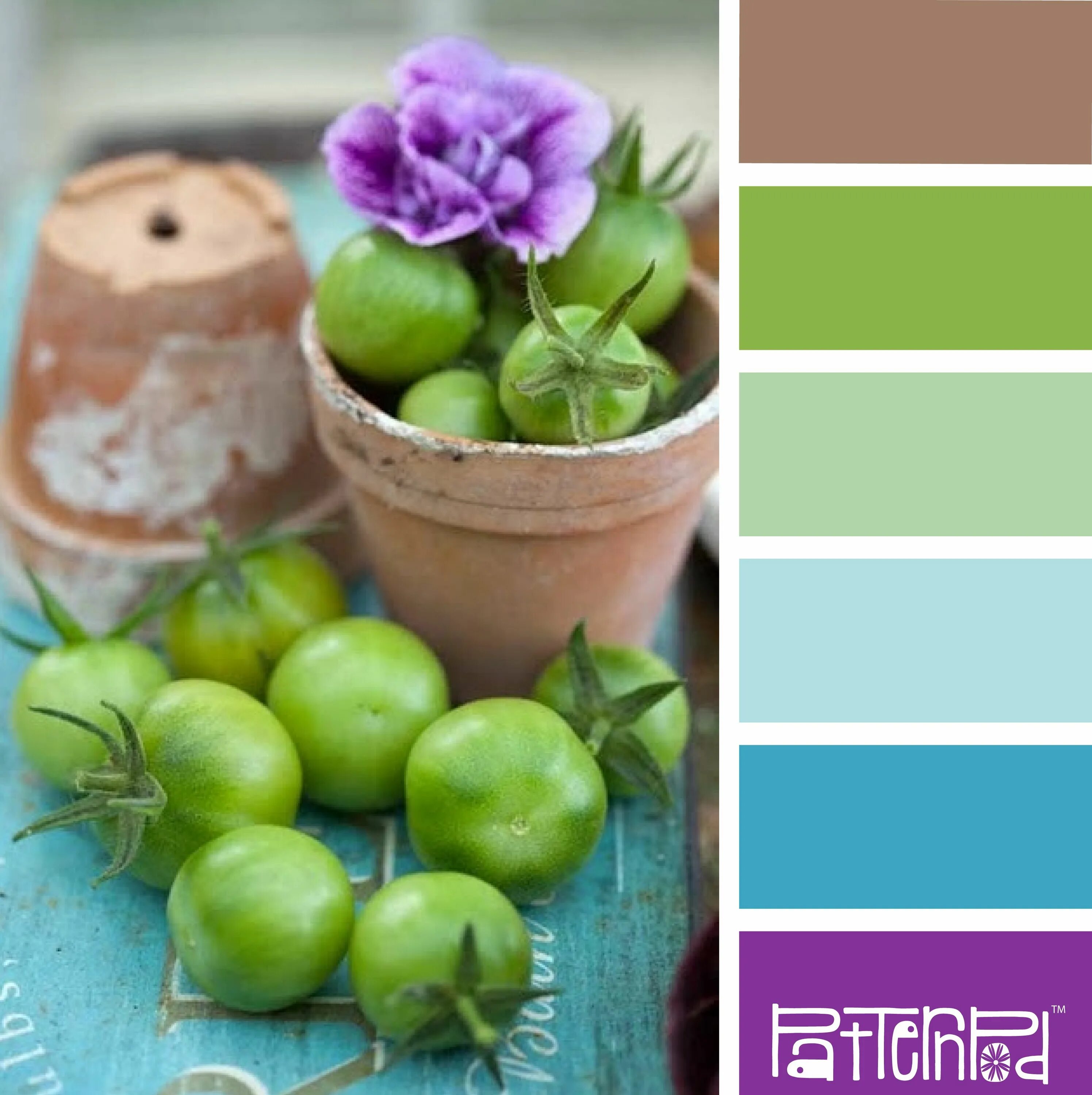 Фисташка сочетание цветов в одежде. С чем сочетается фисташка. Сочетание цветов светло зеленый. Цветовые сочетания с салатовым. Фисташка сочетание цветов в одежде.