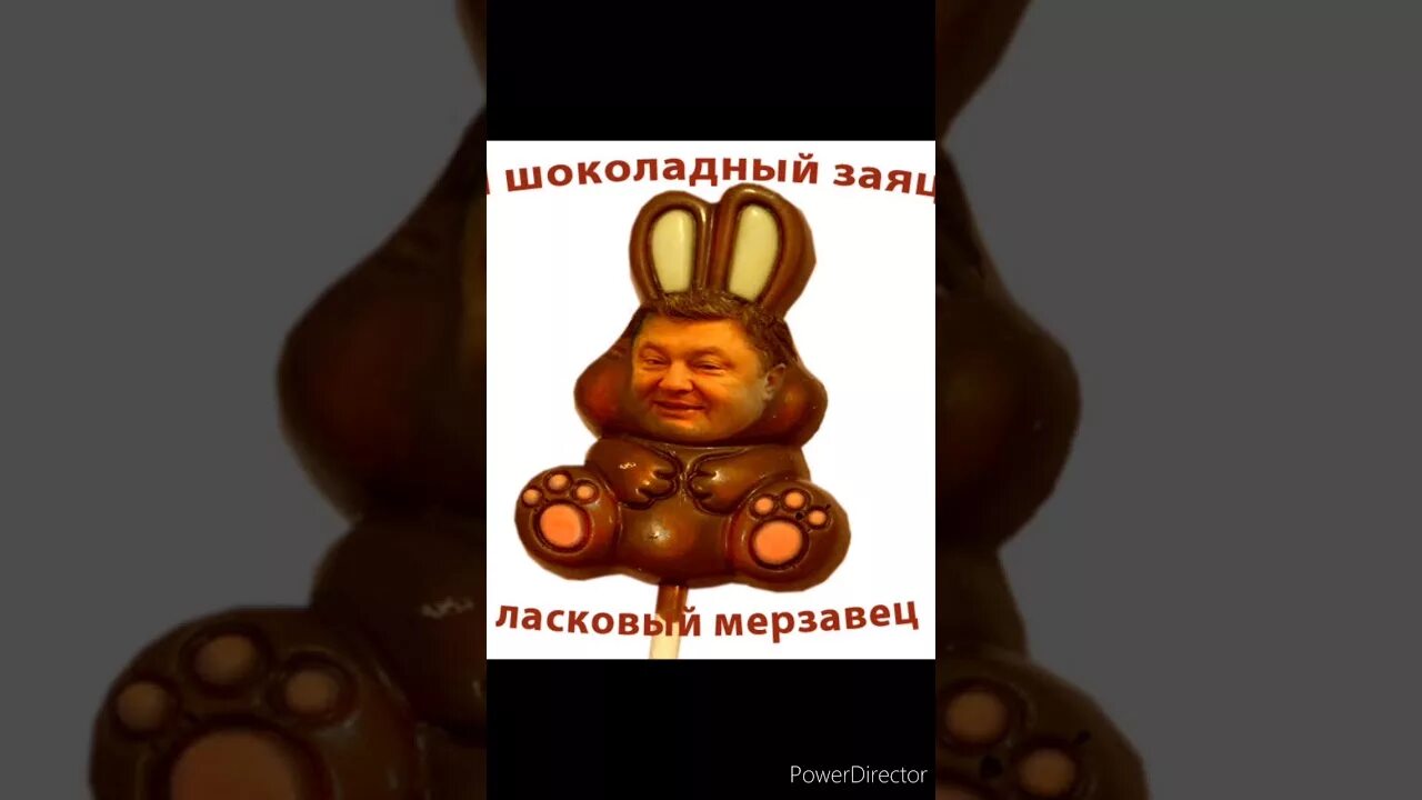 Я шоколадный заяц. Шоколадный заяц я ласковый мерзавец. Шоколадный мерзавец. Я ласковый мерзавец. Песня ласковый заяц