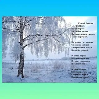 Кто автор стихотворения береза
