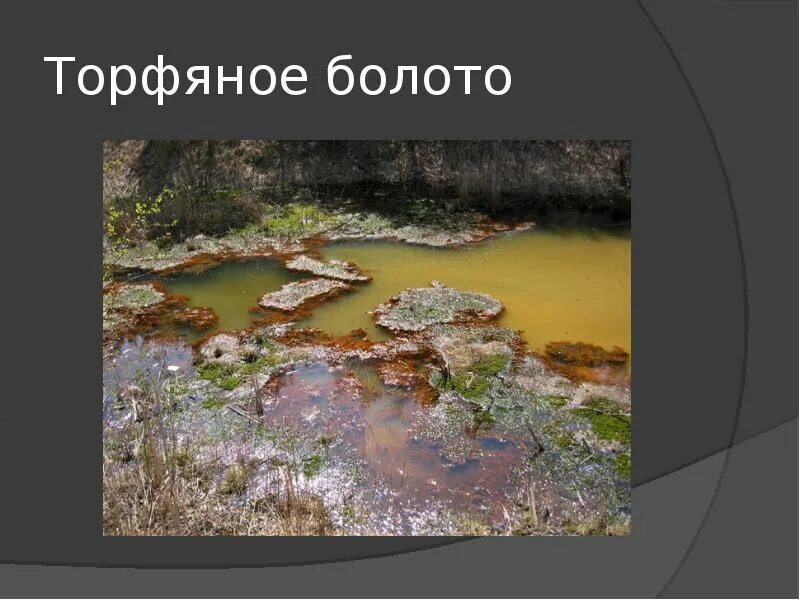 Торфяное болото 5 букв на м. Торфяное болото 5 букв на м. Торфяное болото. Торфяные болота тейково. Торфяное болото 5 букв.