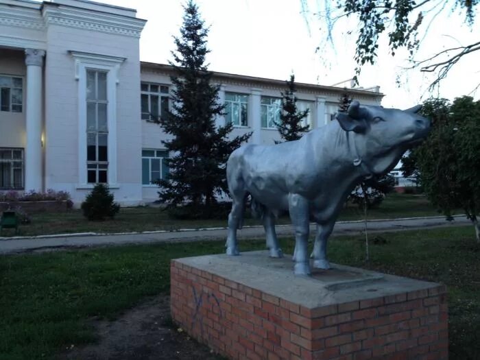 Усть кинельский самарская область купить. П Усть Кинельский Самарской области. Усть Кинель аграрный университет. Кинель Самарская область сельскохозяйственный институт. СГСХА Усть Кинельский.