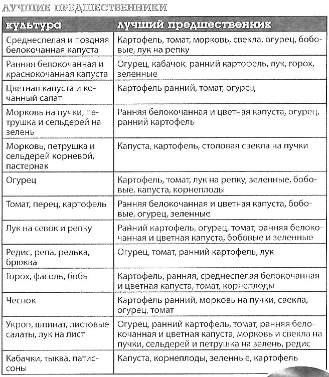 Какую культуру можно сажать после картофеля. Какие овощные культуры можно сажать после картошки. После каких культур можно сажать чеснок.