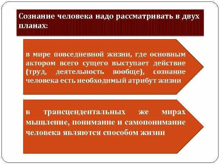 Жизненный мир и его характеристики.. Жизненные категории для человека. Жизненные миры личности Василюк. Субъективный мир человека это