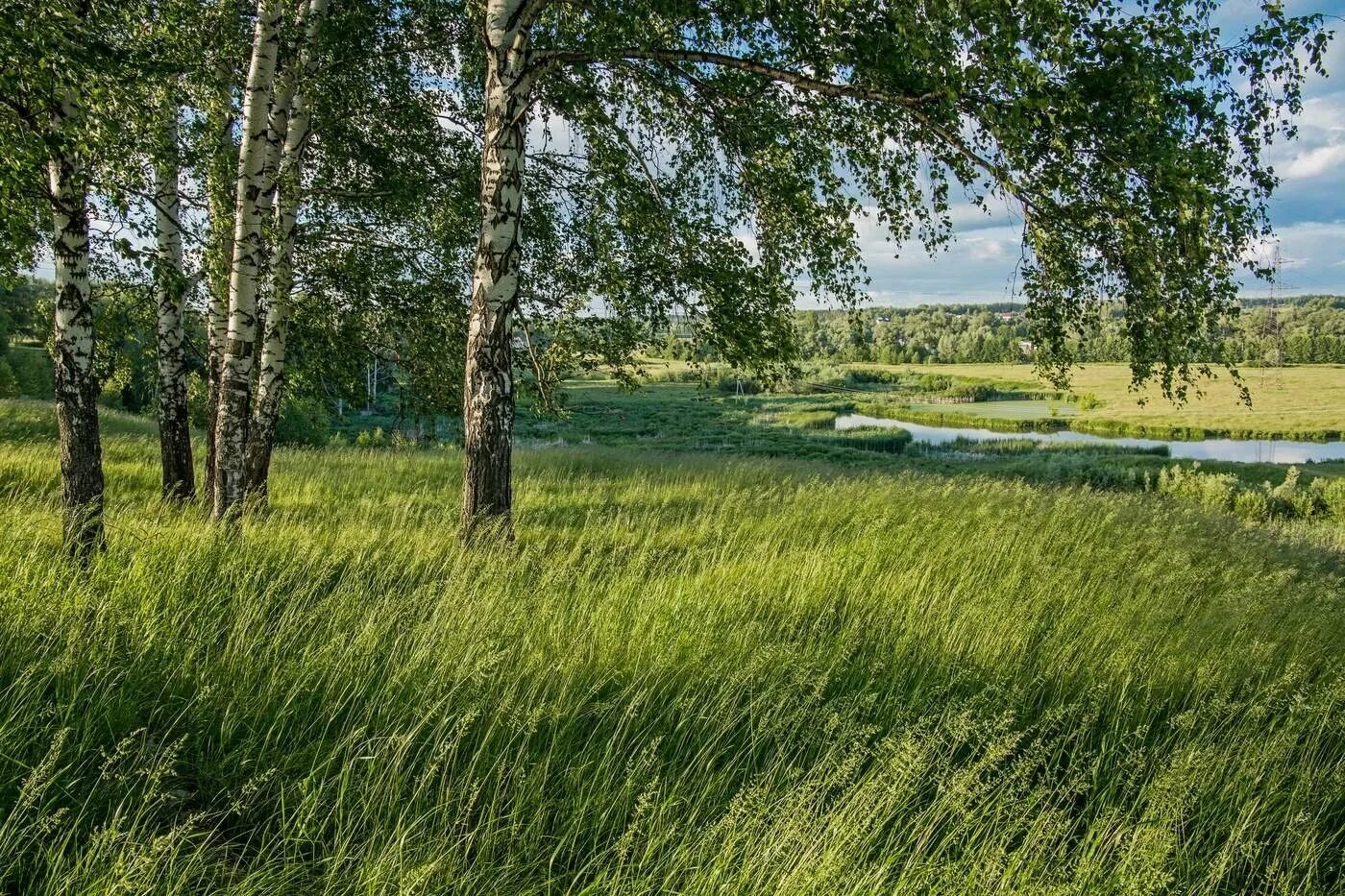 Каким будет лето татарстане. Республика Татарстан природа. Пойменные Луга Татарстана. Природа Татарстана Татарстана. Пейзажи Татарстана.